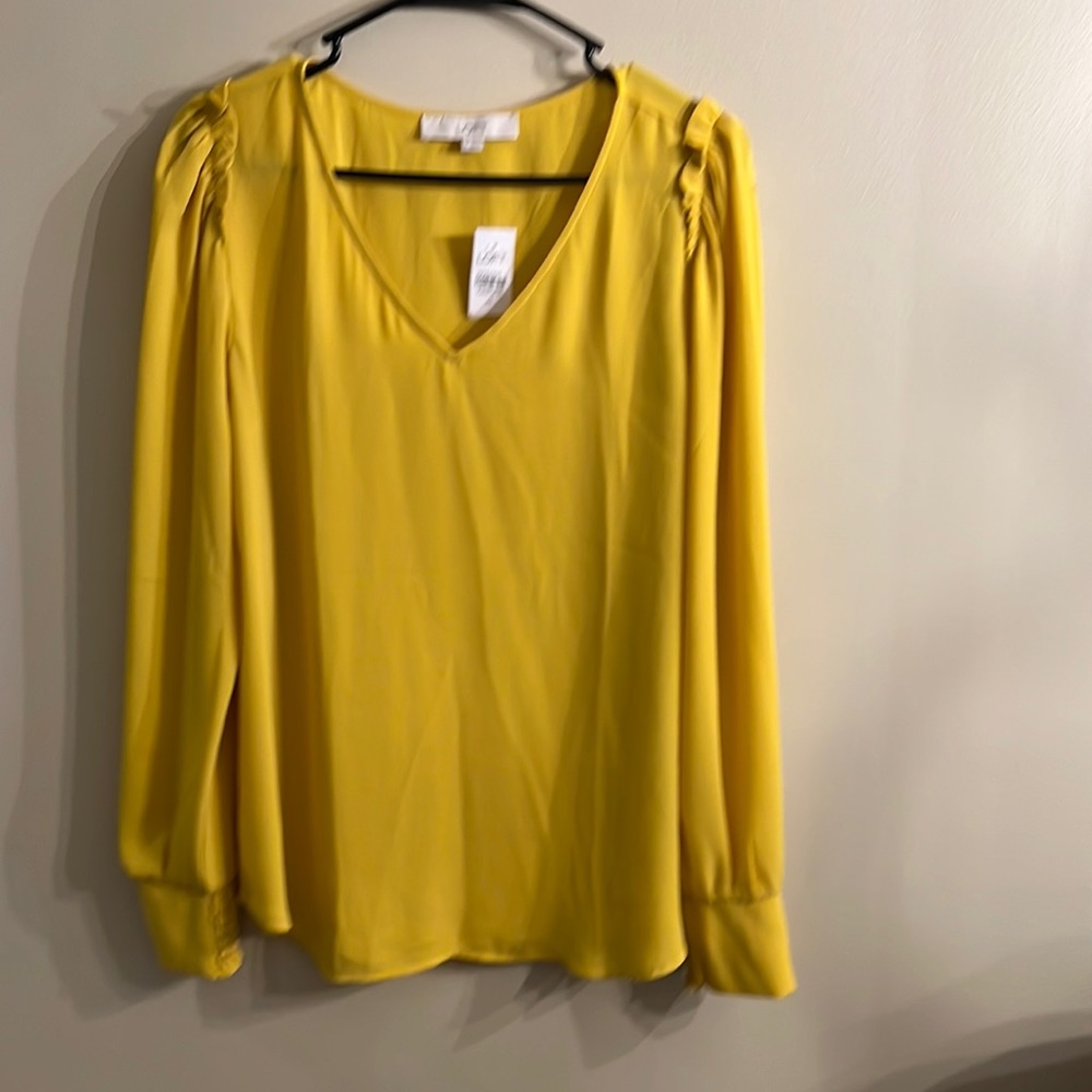 Loft gold, v neck blouse, small ruffle on shoulder, smocked cuff.  Size …